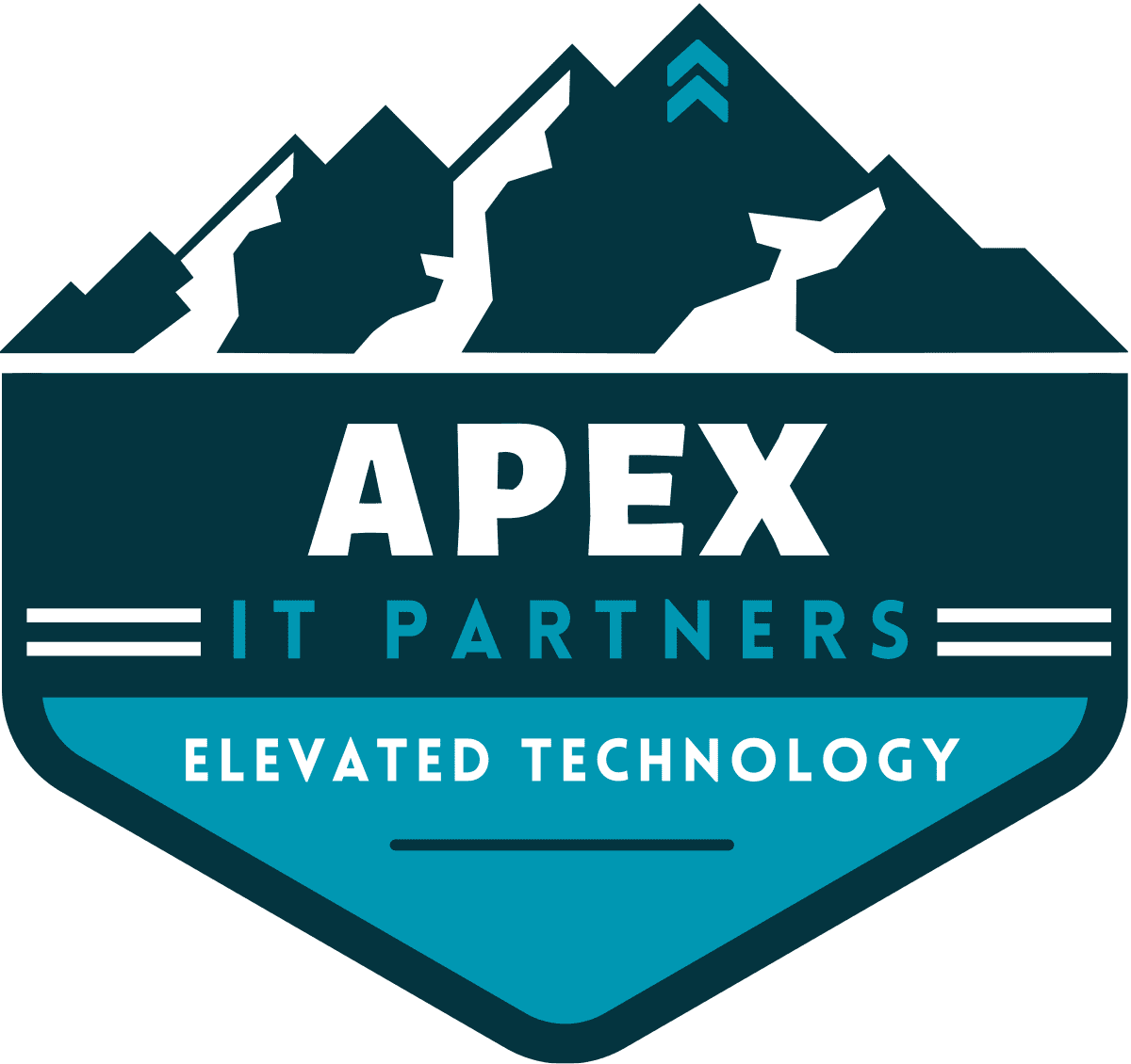 APEX IT Partners